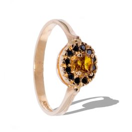 Anillo rosas en el mar